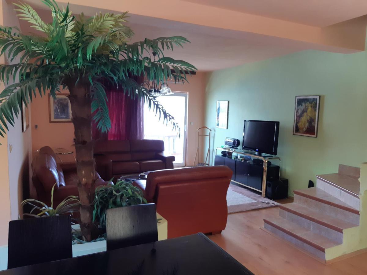 Villa Garden Apartments Херцег-Нови Экстерьер фото
