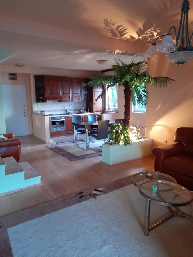 Villa Garden Apartments Херцег-Нови Экстерьер фото
